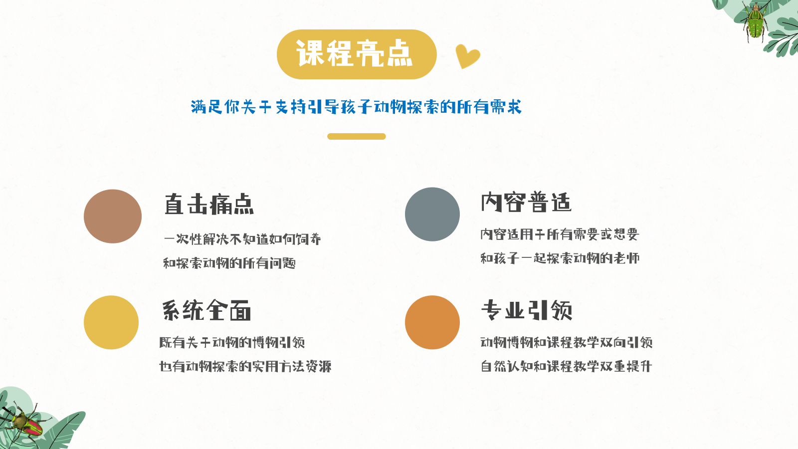 “幼儿园里的动物探索”系列课程