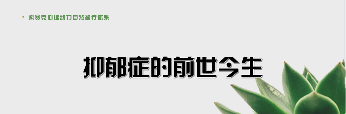 微信图片_20220707180039.png 青少年抑郁症自然简疗体系线上系统专业视频课