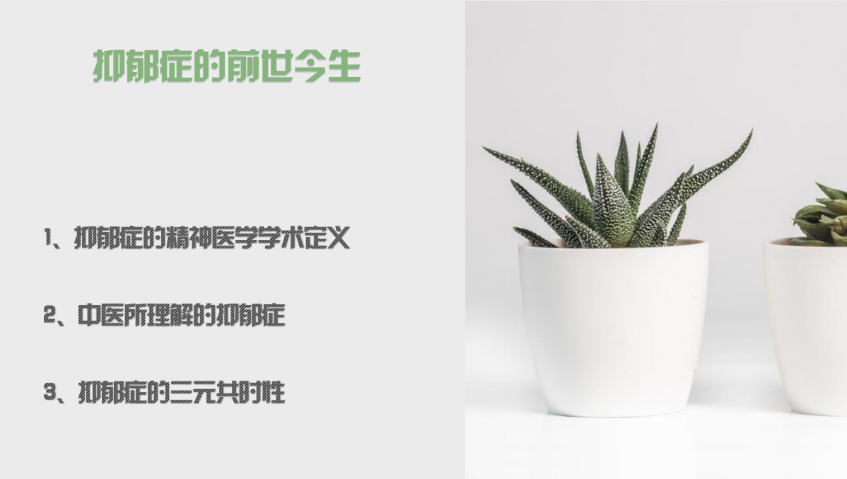 青少年抑郁症自然简疗体系线上系统专业视频课