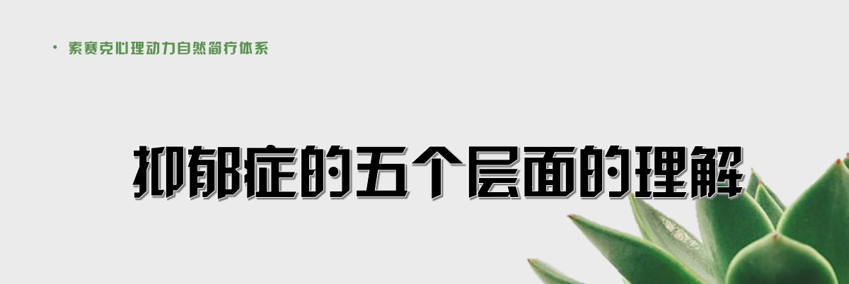 微信图片_20220707180645.png 青少年抑郁症自然简疗体系线上系统专业视频课
