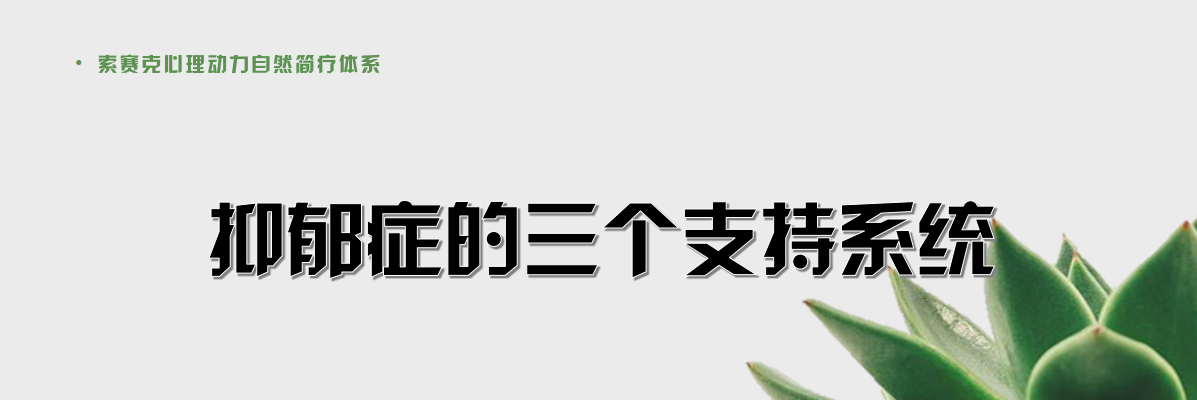 微信图片_20220707180922.png 青少年抑郁症自然简疗体系线上系统专业视频课