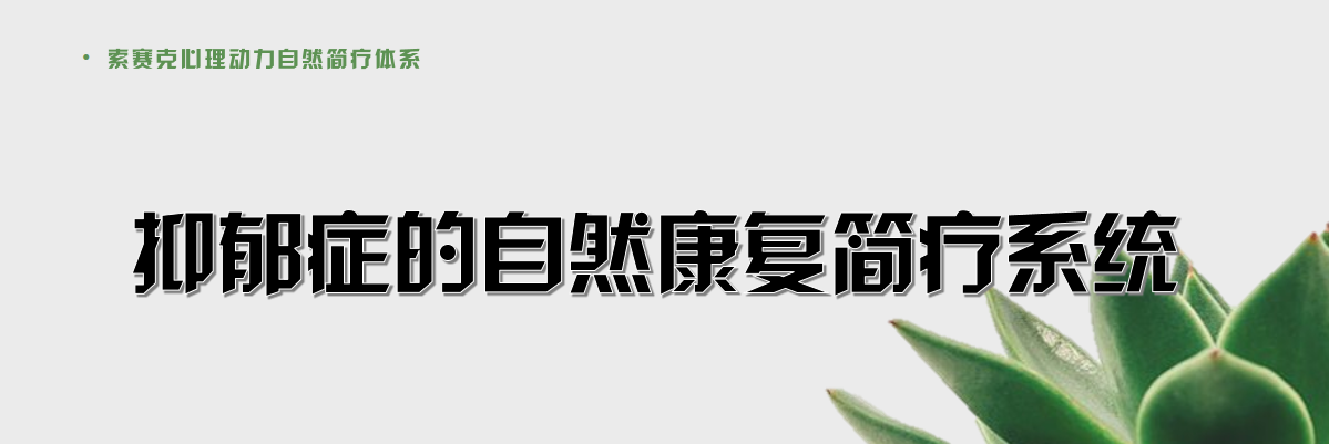 微信图片_20220707181103.png 青少年抑郁症自然简疗体系线上系统专业视频课