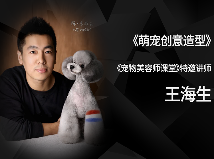 萌宠创意造型官方封面