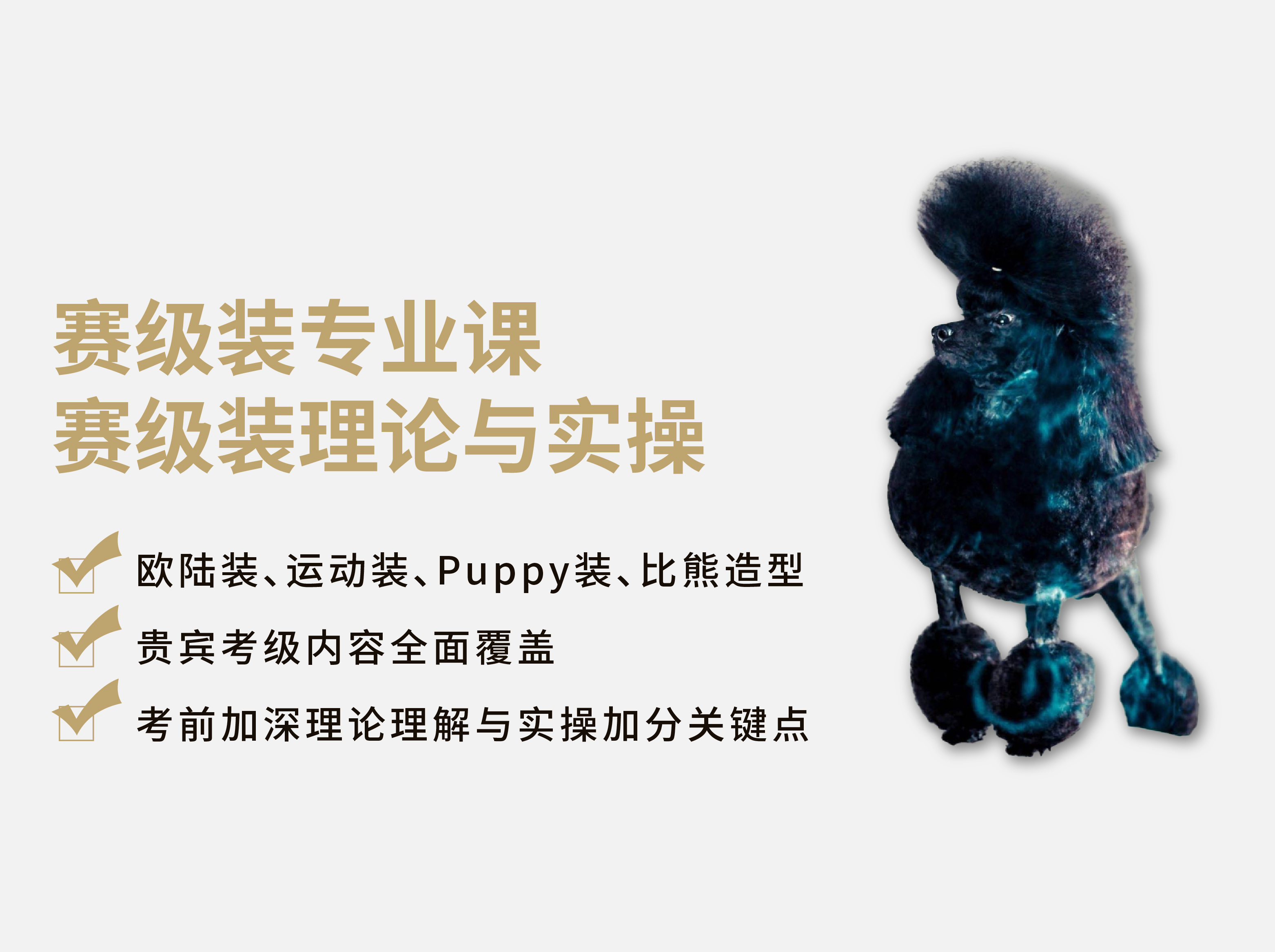 赛级装专业课 ▏ 赛级装理论知识与实操官方封面