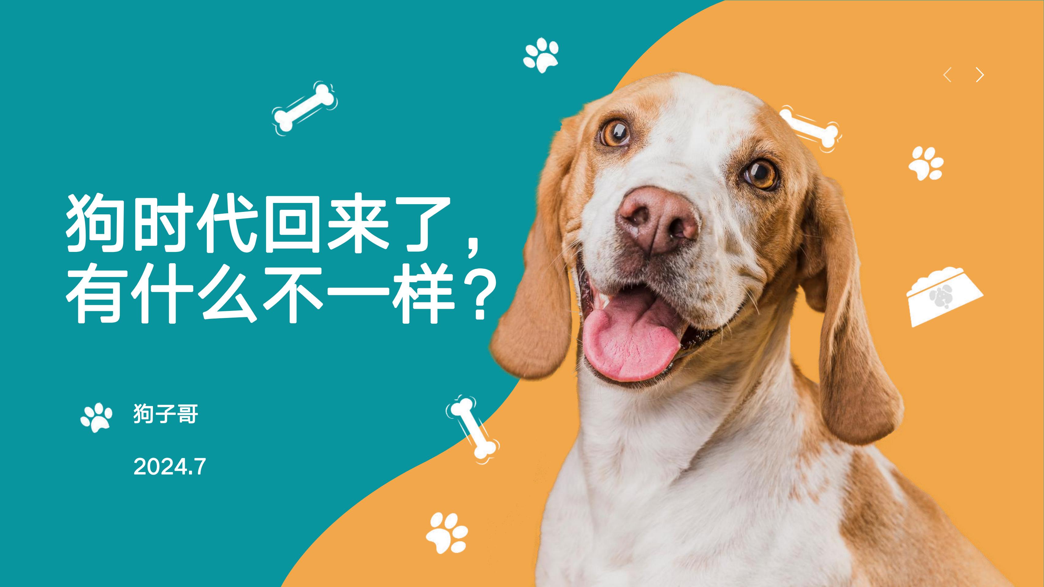 2024听说狗的又要回来了跟以前有什么不一样(狗子哥,宠物评测科普自媒体大V)官方封面
