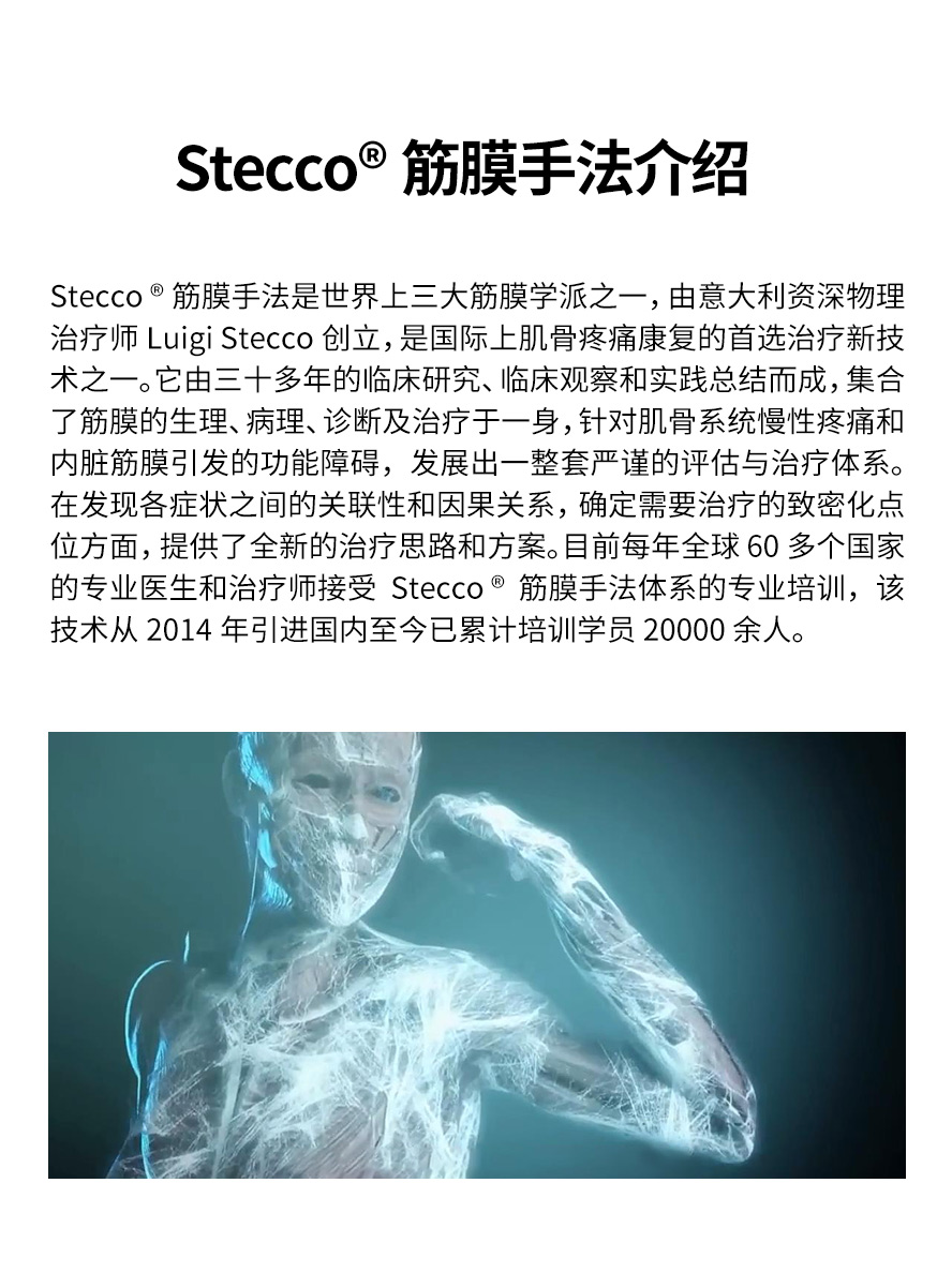 意大利筋膜手法评估与治疗的主线