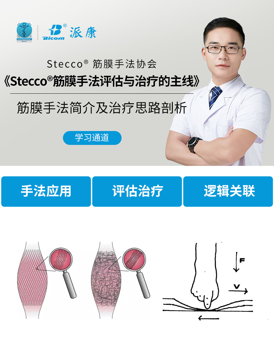 意大利筋膜手法评估与治疗的主线