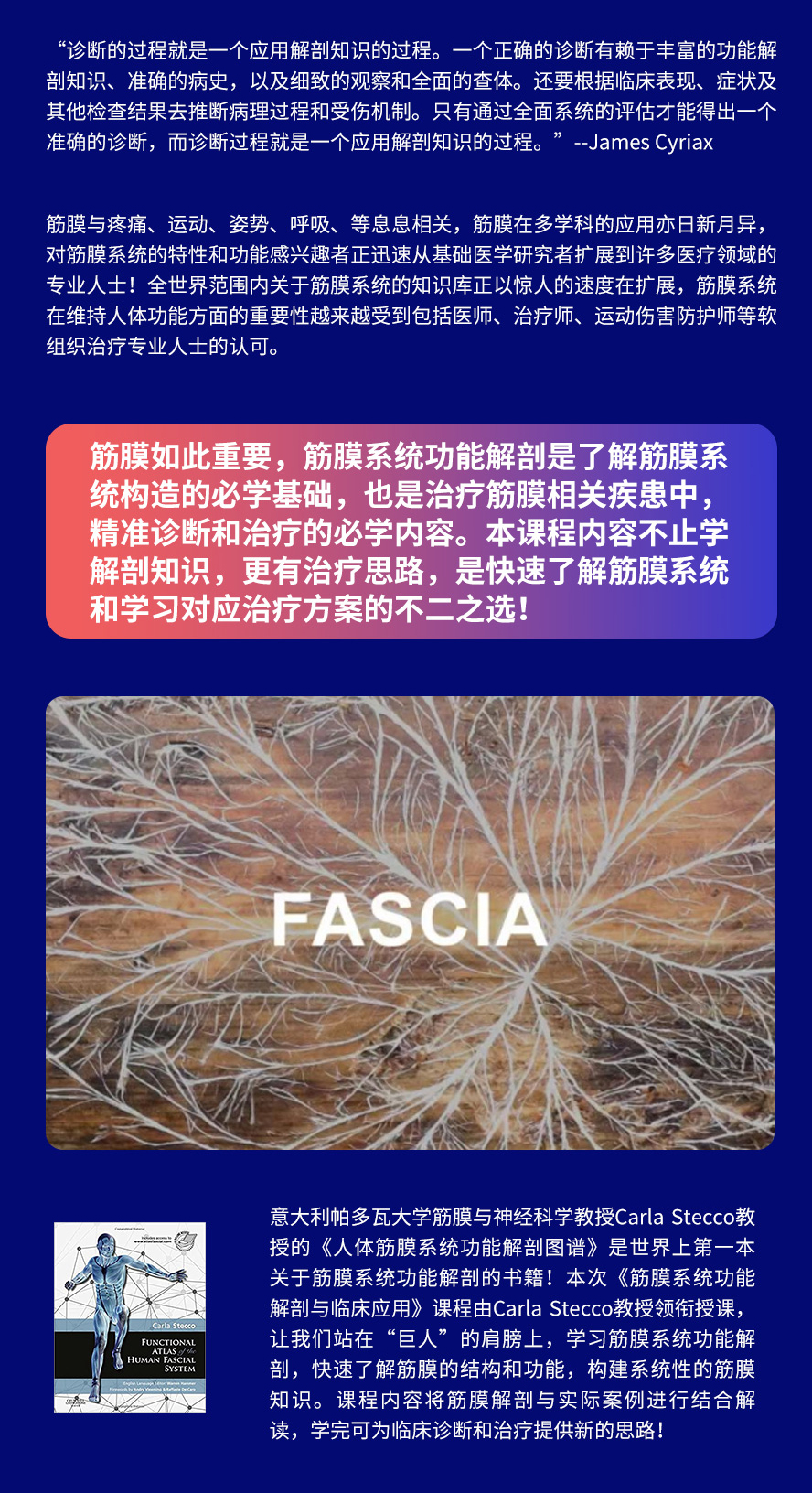 筋膜系统功能解剖与临床应用