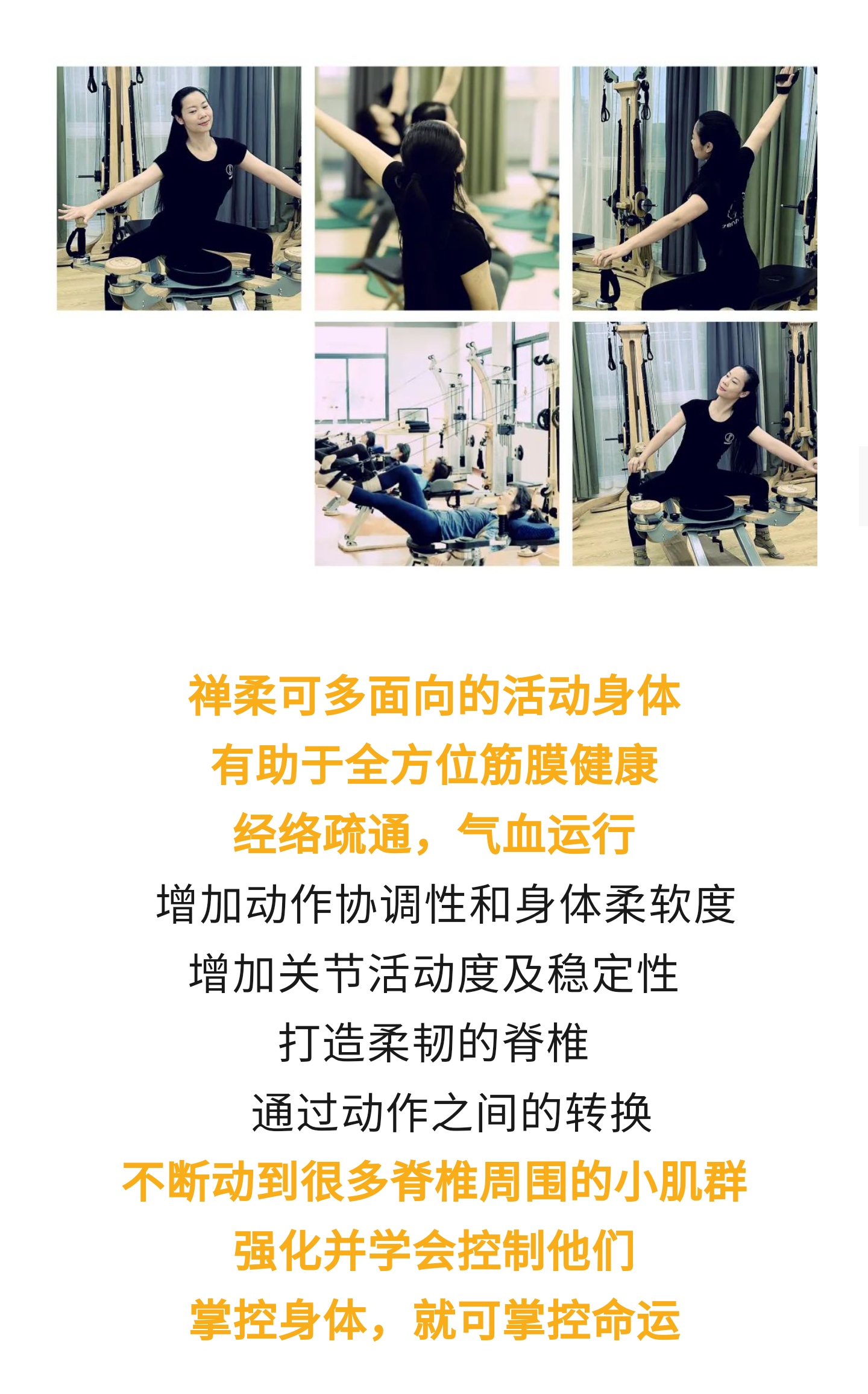 子一禅柔，健康脊柱，灵动生命！禅于心，柔于身