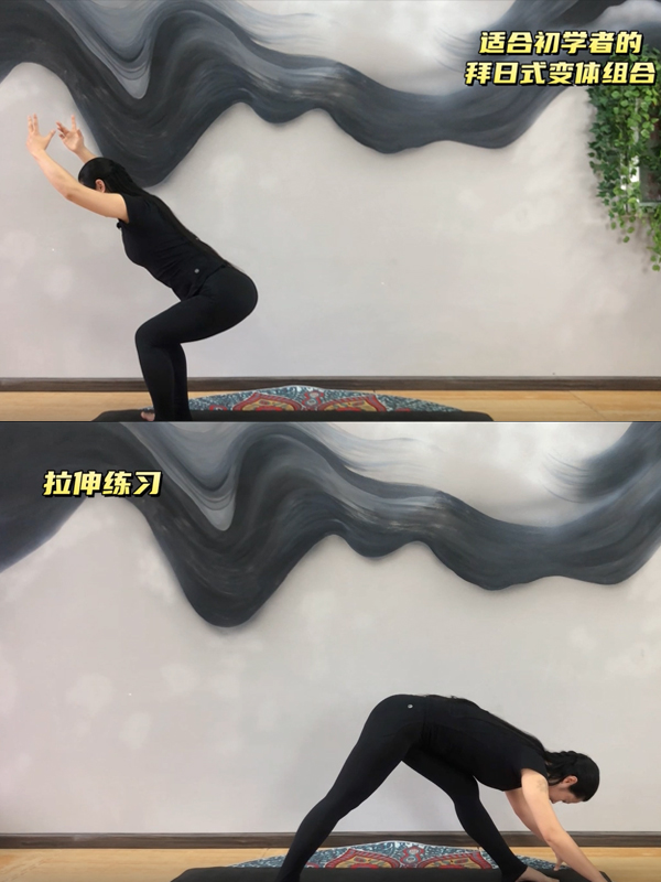 瑜伽基础课程