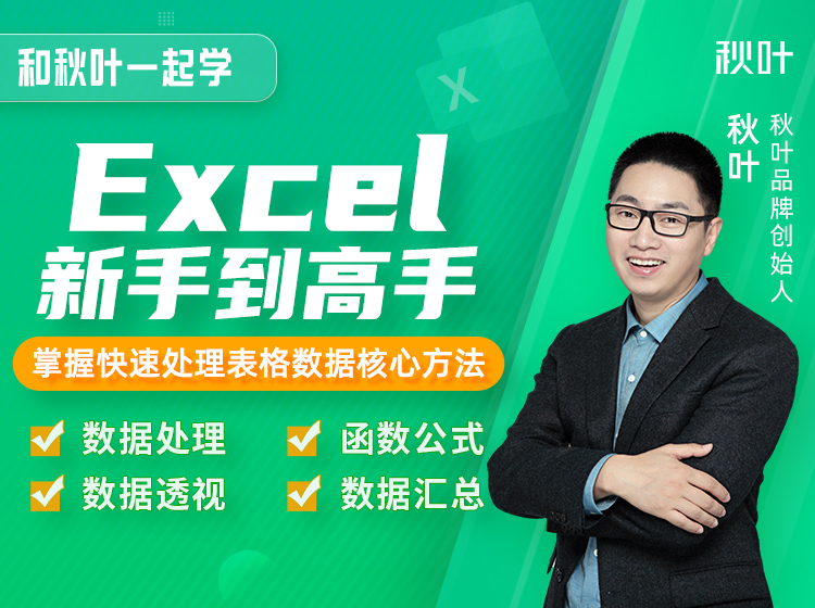 Excel从新手到高手