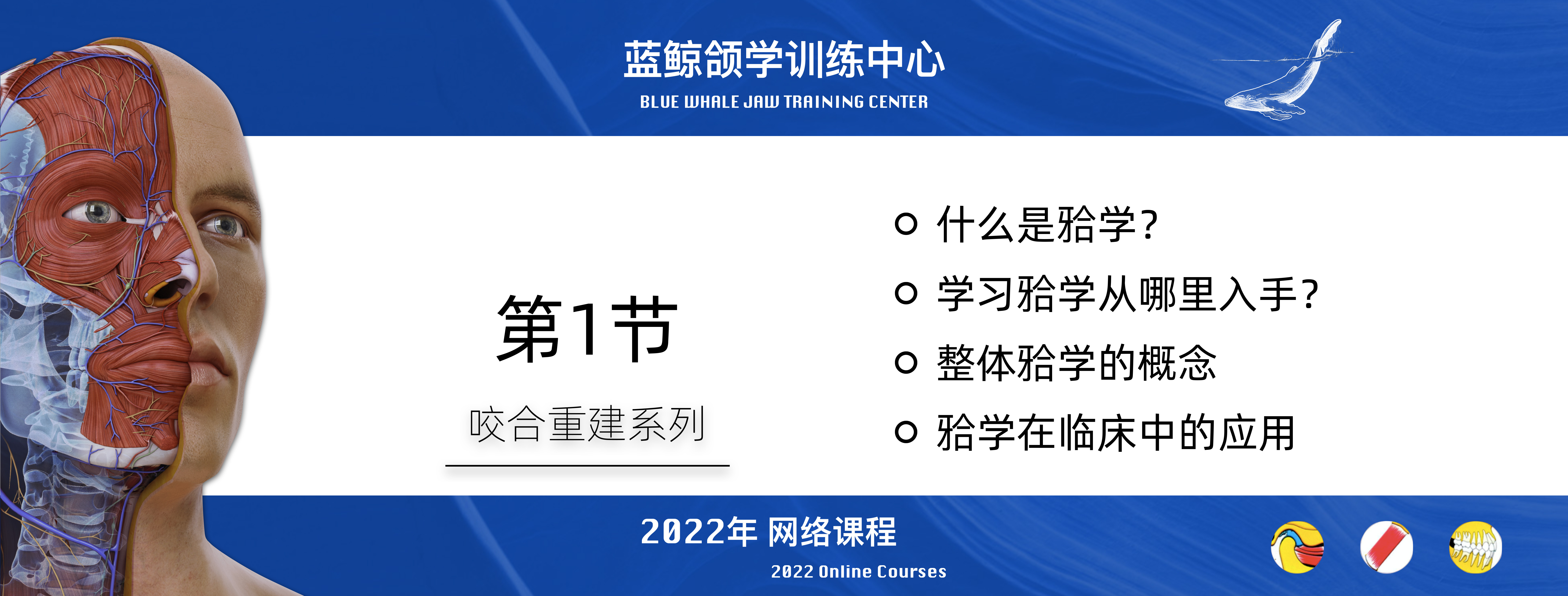 蓝鲸颌学系列线上课程-2022年度（持续更新）