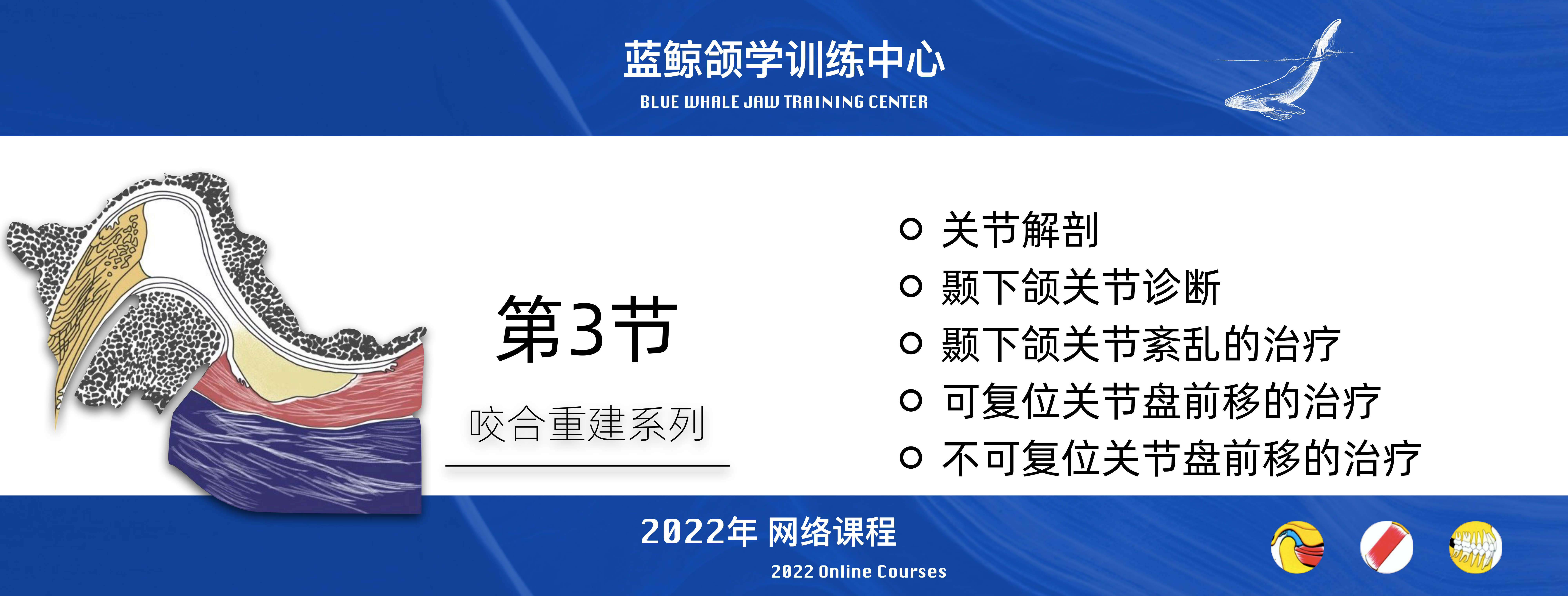 蓝鲸颌学系列线上课程-2022年度（持续更新）