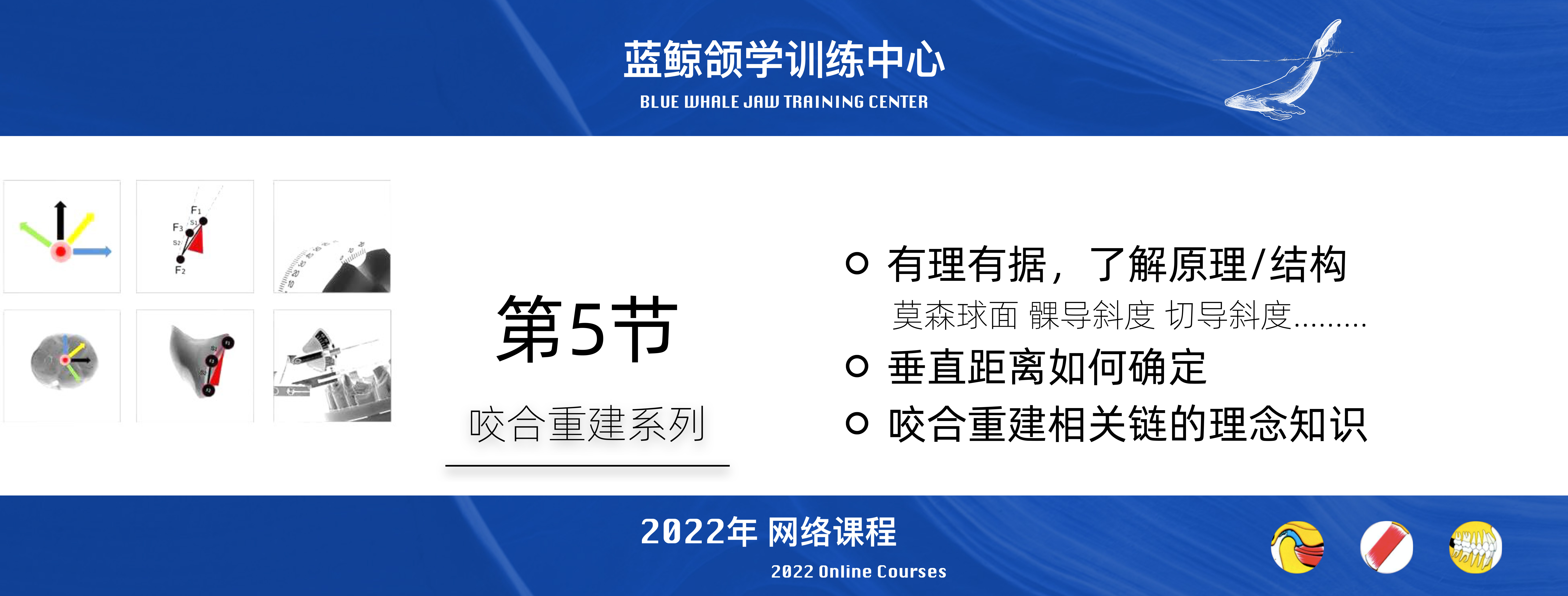 蓝鲸颌学系列线上课程-2022年度（持续更新）