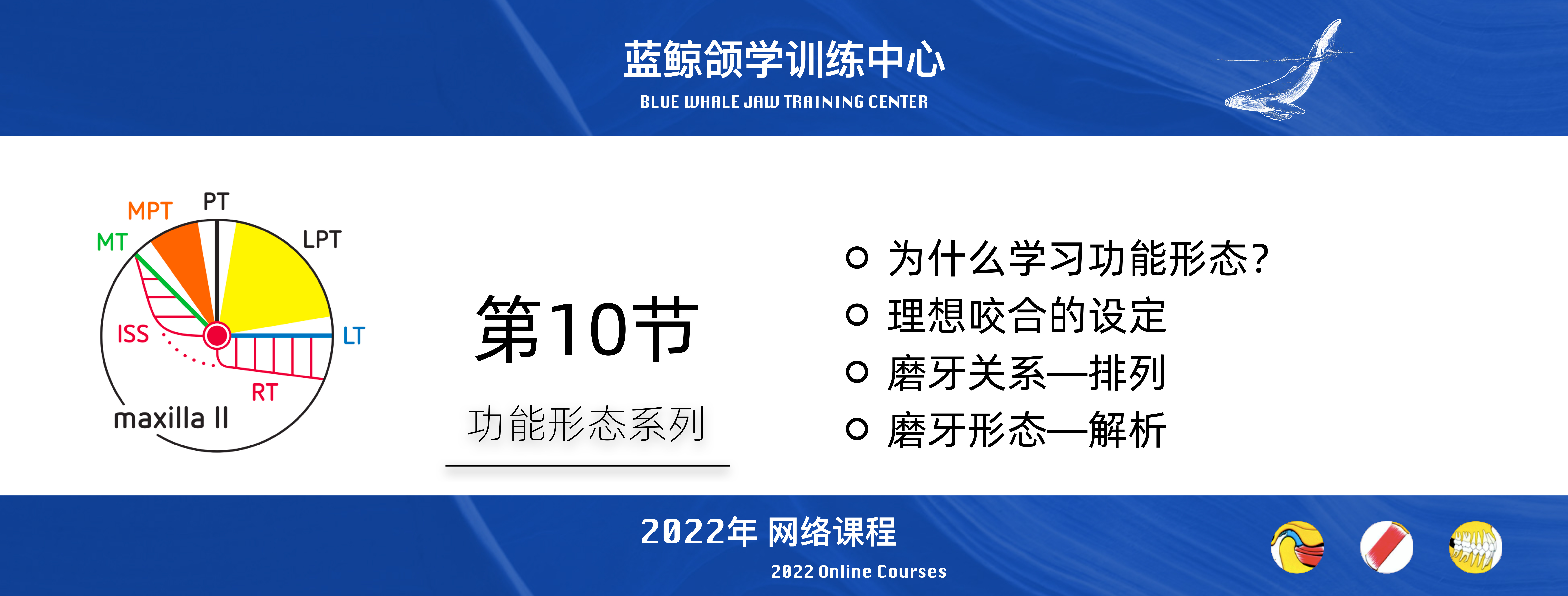 蓝鲸颌学系列线上课程-2022年度（持续更新）