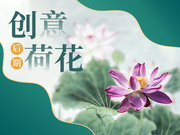 创意荷花后期  