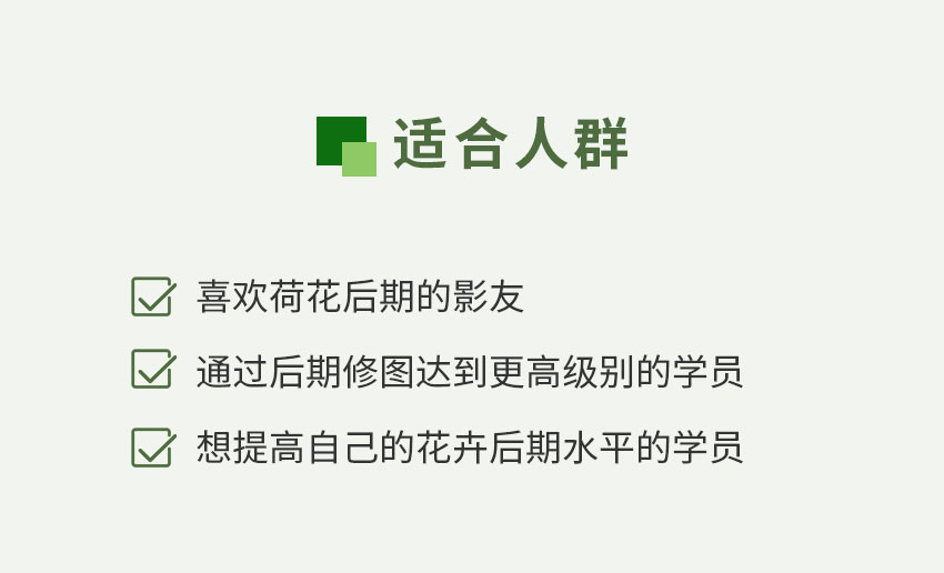 创意荷花后期  