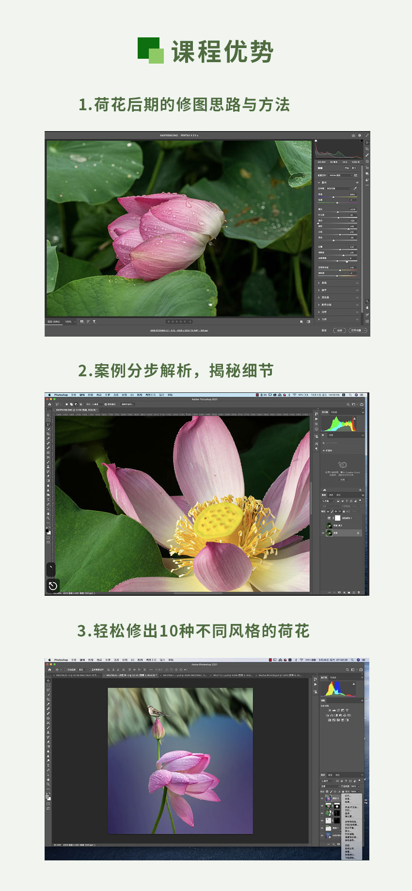 创意荷花后期  