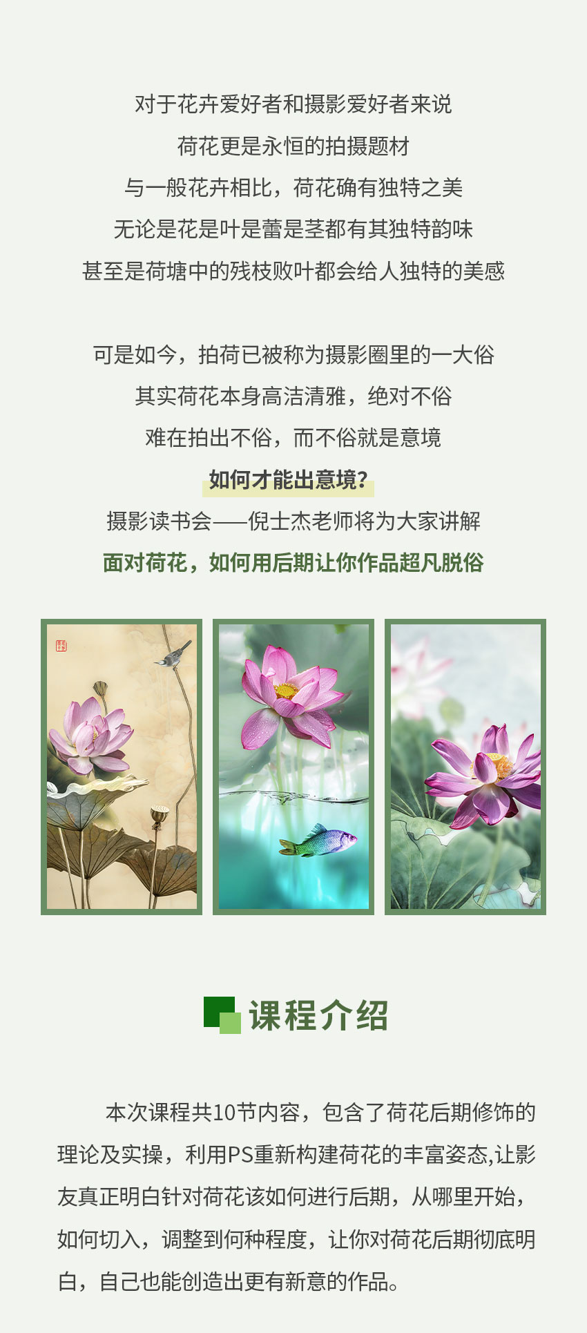 创意荷花后期  