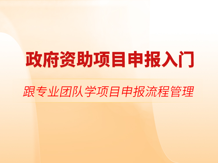 政府资助项目申报入门：跟专业团队学项目申报流程管理