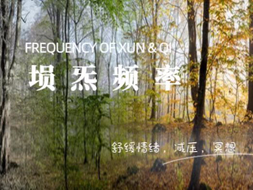 《埙炁频率》