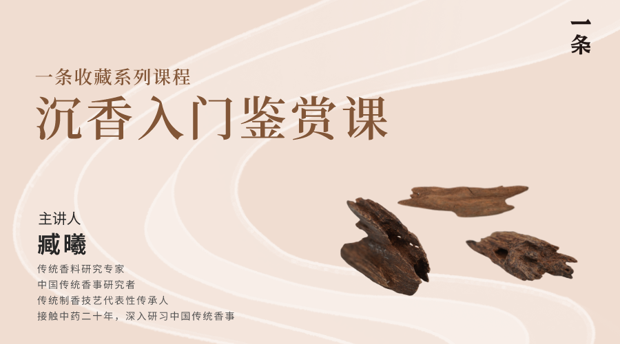 一条收藏系列课程——沉香入门鉴赏课（随课赠送八种沉香线香）
