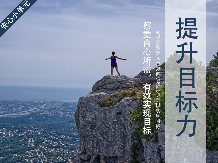 安心小单元：提升目标力