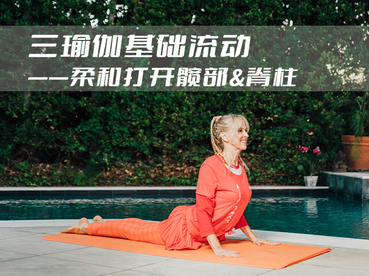 三瑜伽基础流动 —柔和打开髋部&脊柱