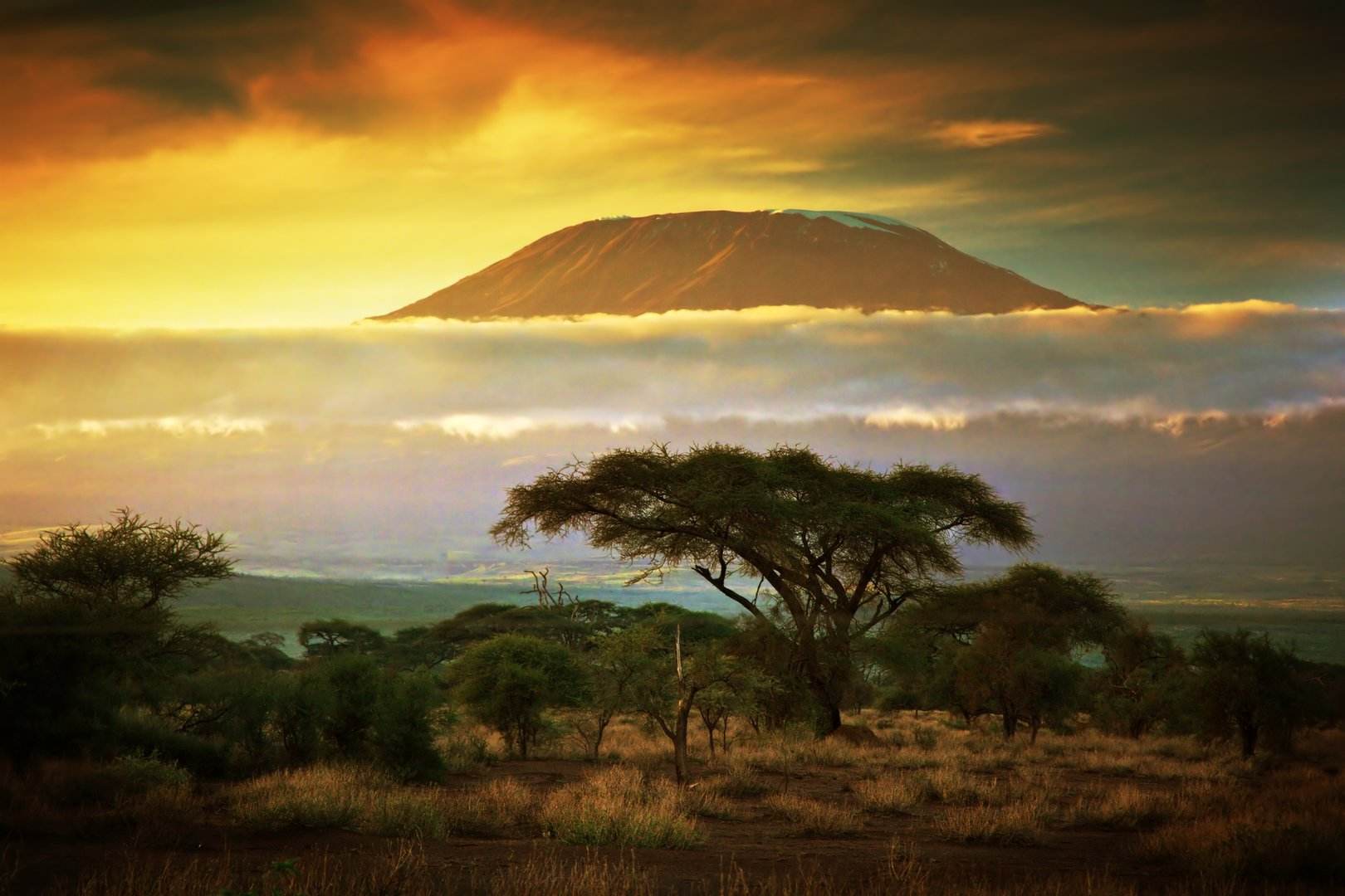 环球旅行第29站(坦桑尼亚):非洲最可爱的地方