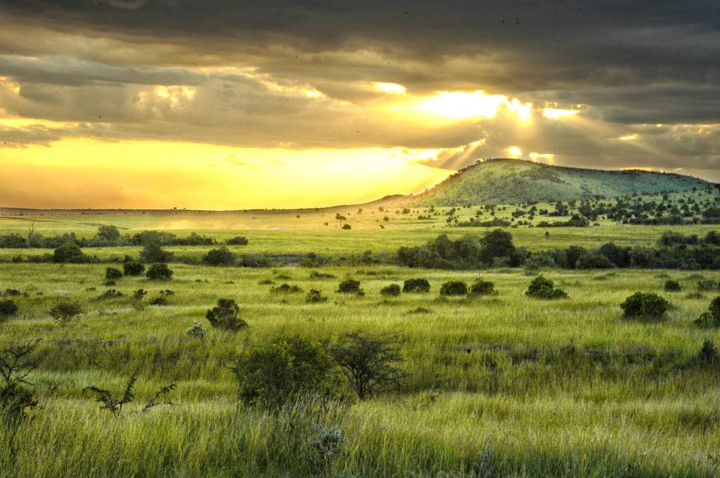 环球旅行第29站(坦桑尼亚):非洲最可爱的地方