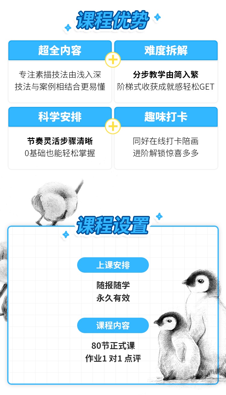 新手学画素描课堂