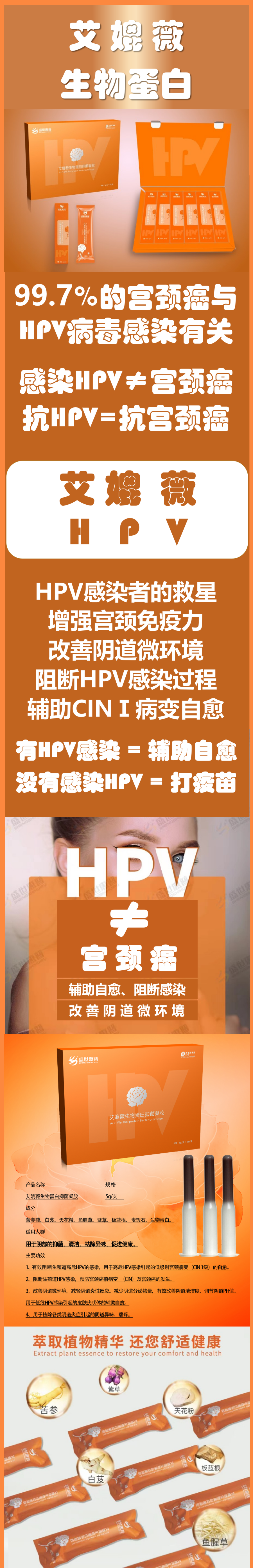 HPV网站1_副本.png