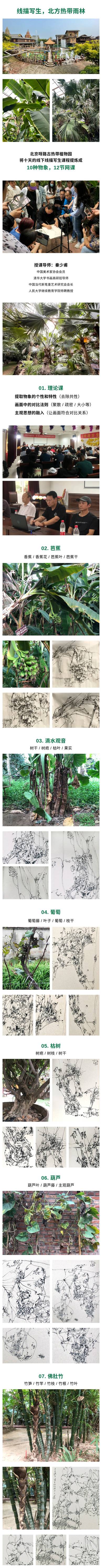 百节写生网课  线描与笔墨转换