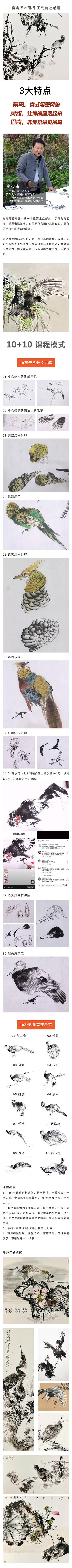 百节禽鸟系列精品课（秦少甫禽鸟课徒稿）