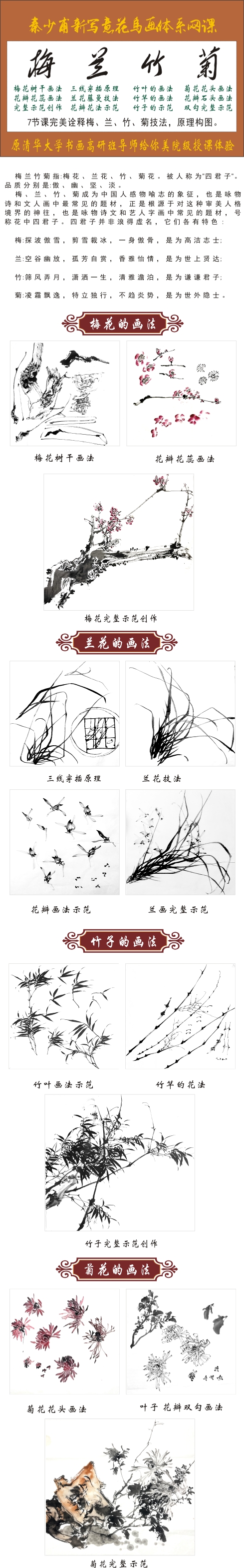 秦少甫花鸟画  梅、兰、竹、菊精讲网课