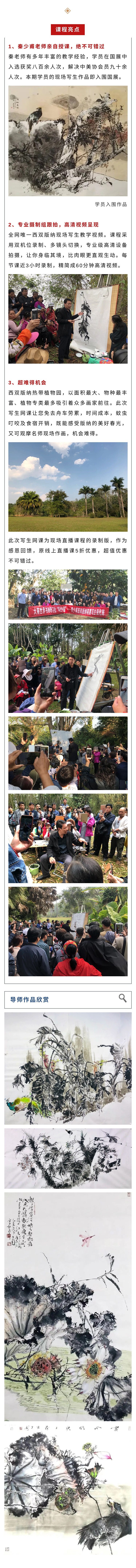 百节写生网课  线描与笔墨转换