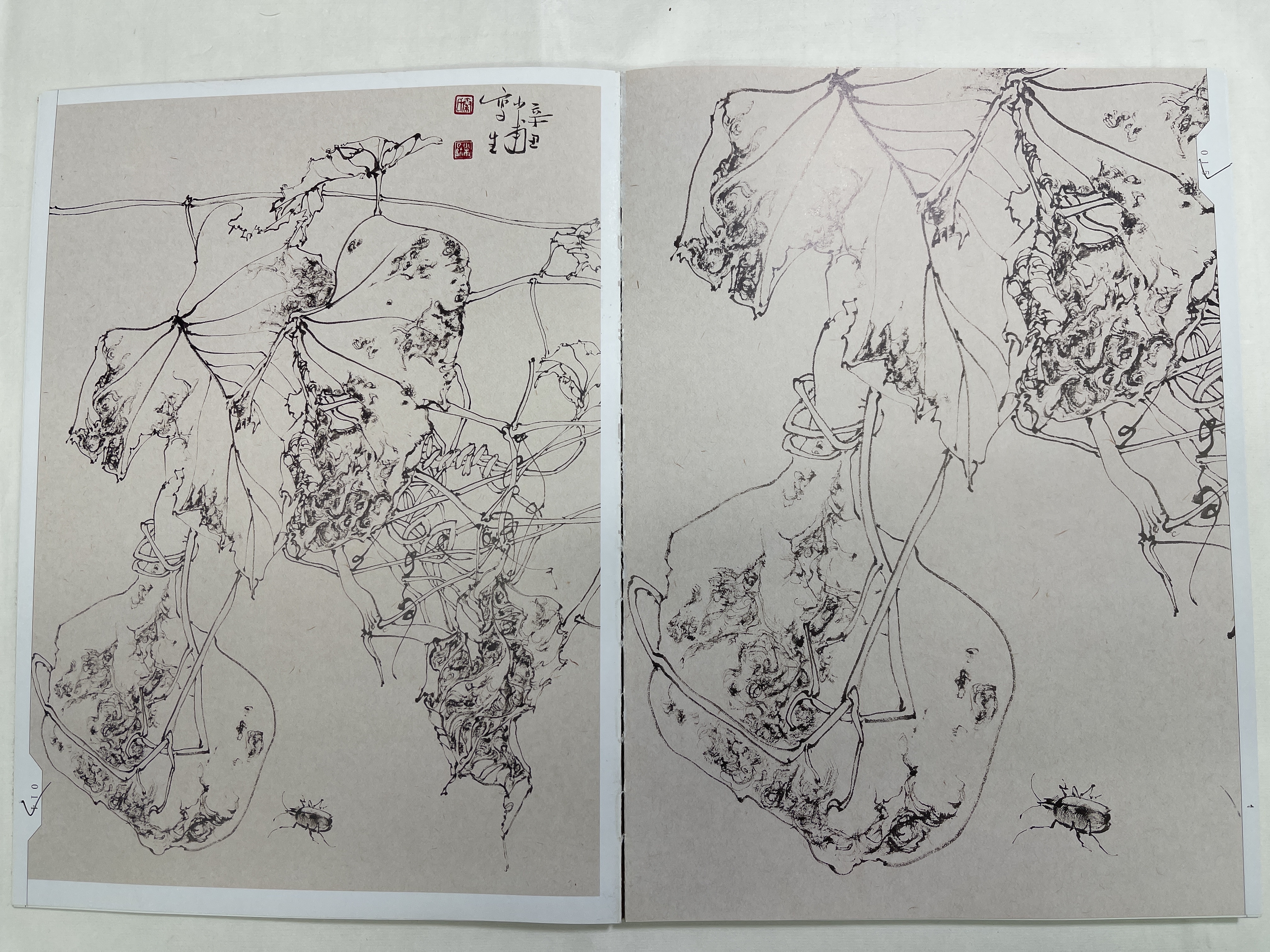 秦少甫国展线描写生网课 （含写生集）