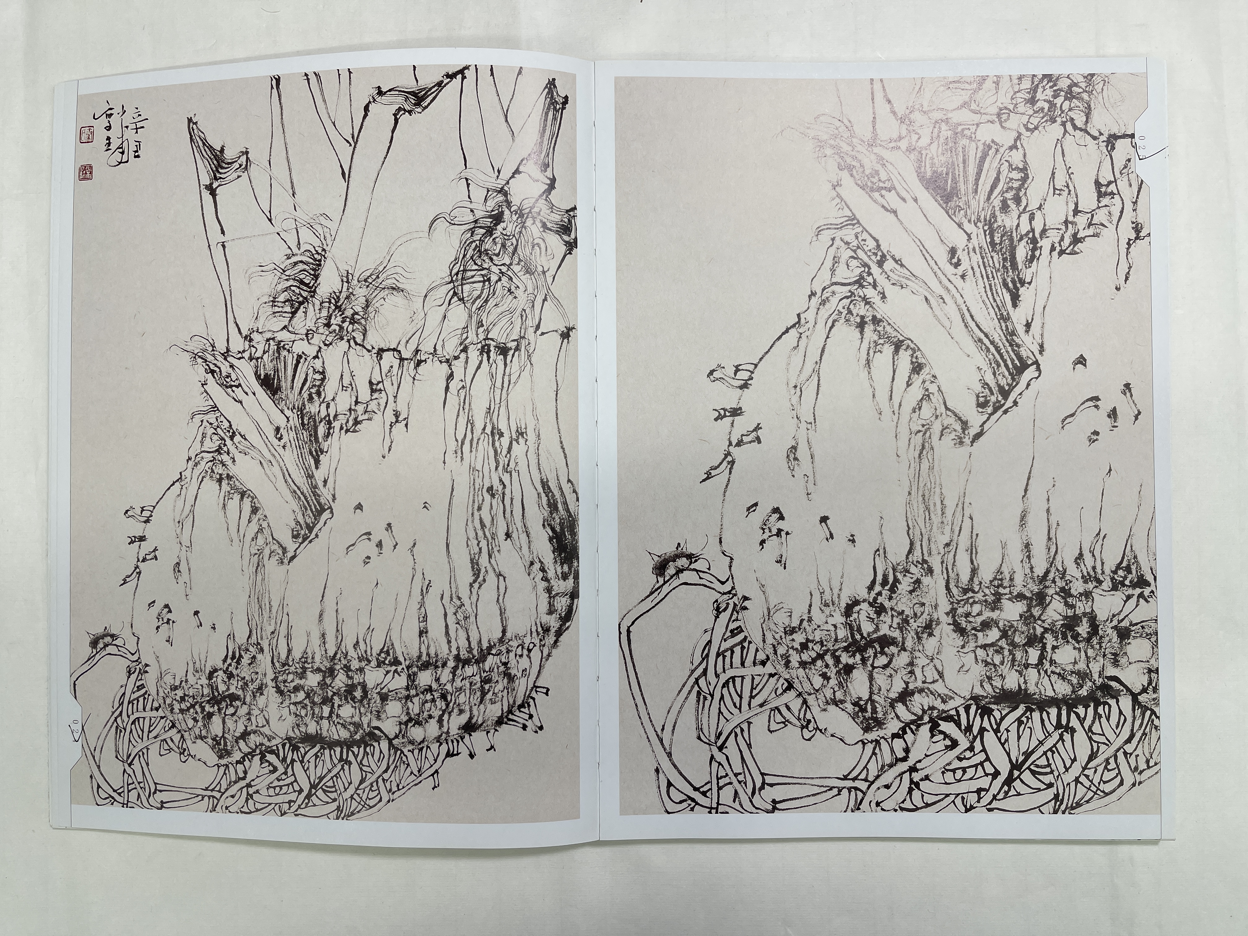 秦少甫国展线描写生网课 （含写生集）