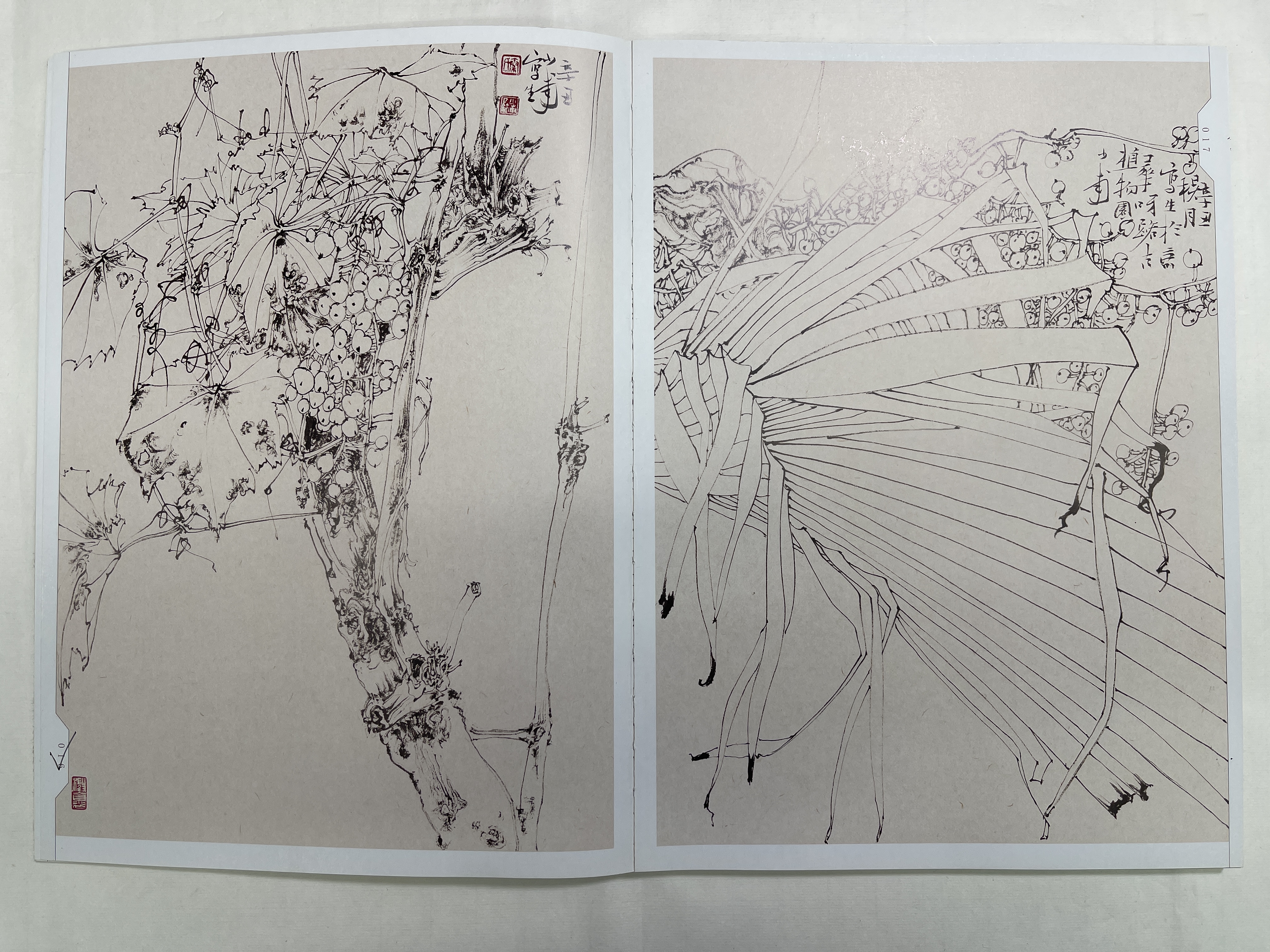 秦少甫国展线描写生网课 （含写生集）