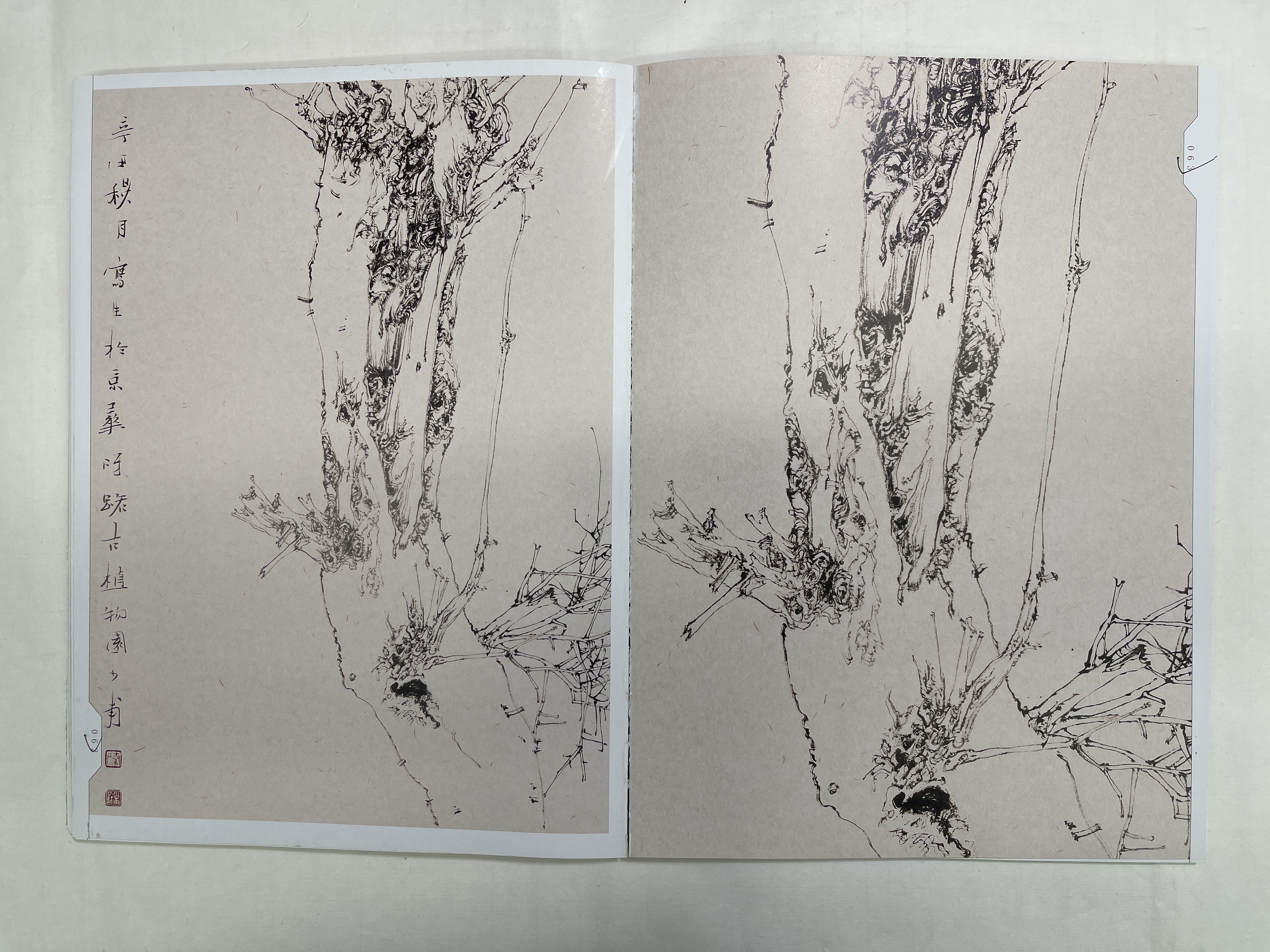 秦少甫国展线描写生网课 （含写生集）