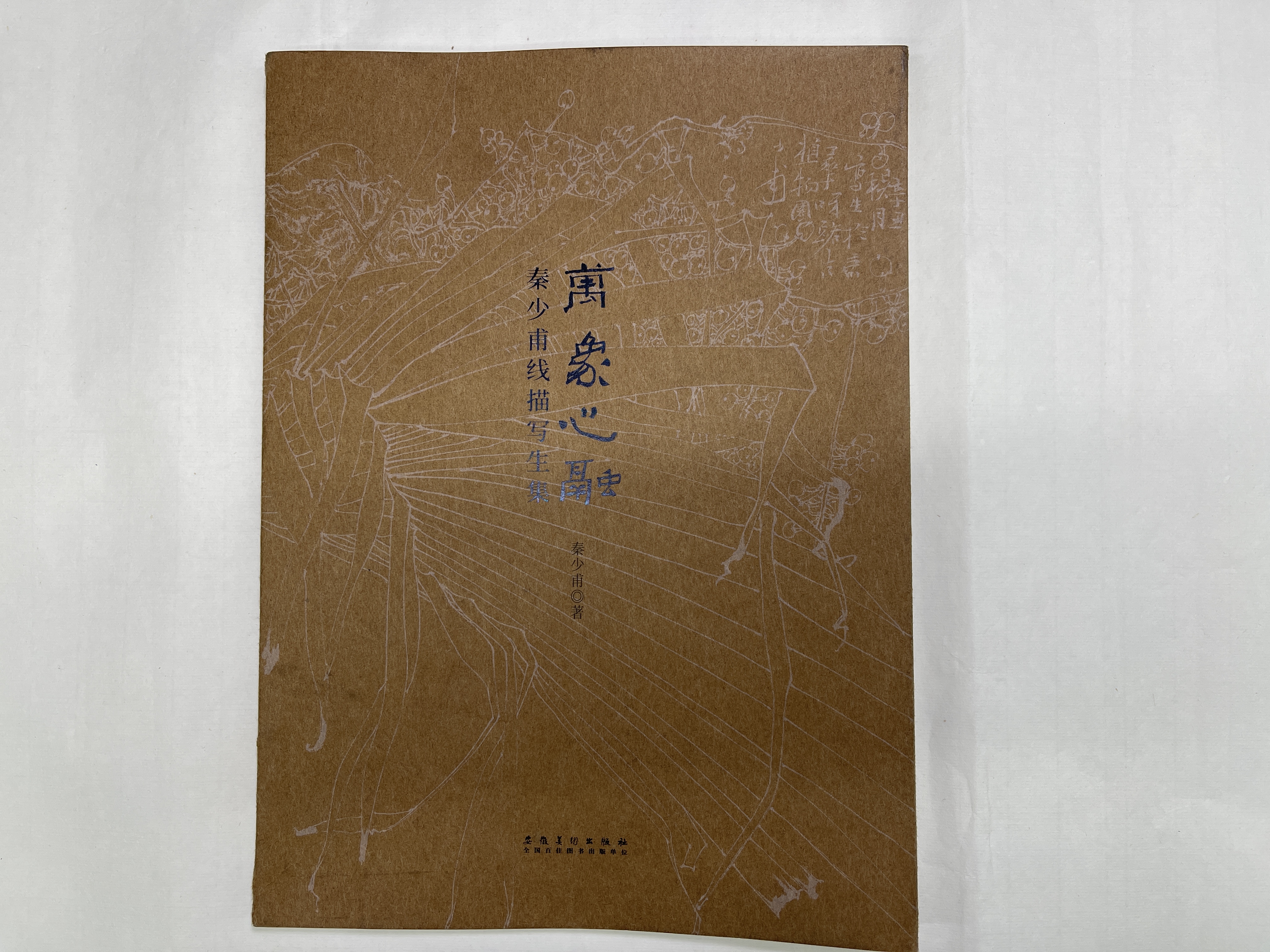 秦少甫国展线描写生网课 （含写生集）