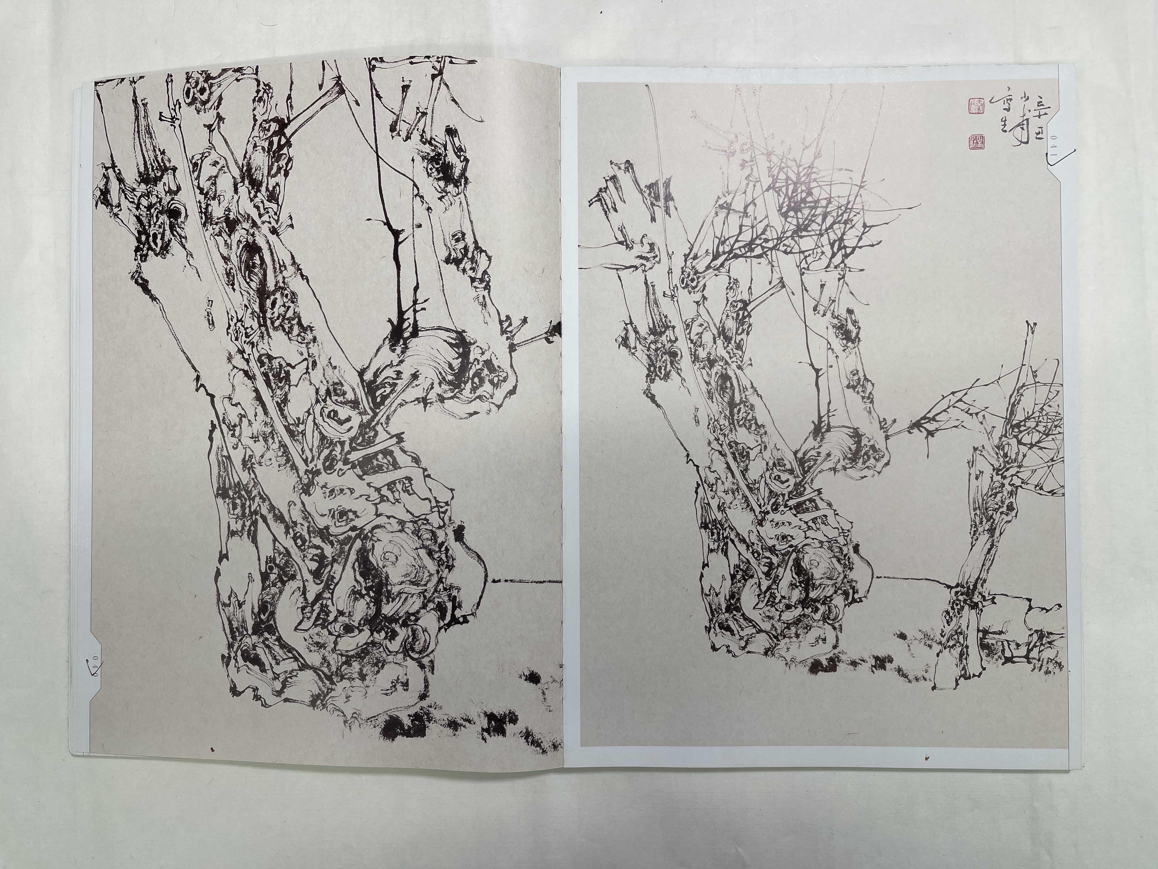 秦少甫国展线描写生网课 （含写生集）