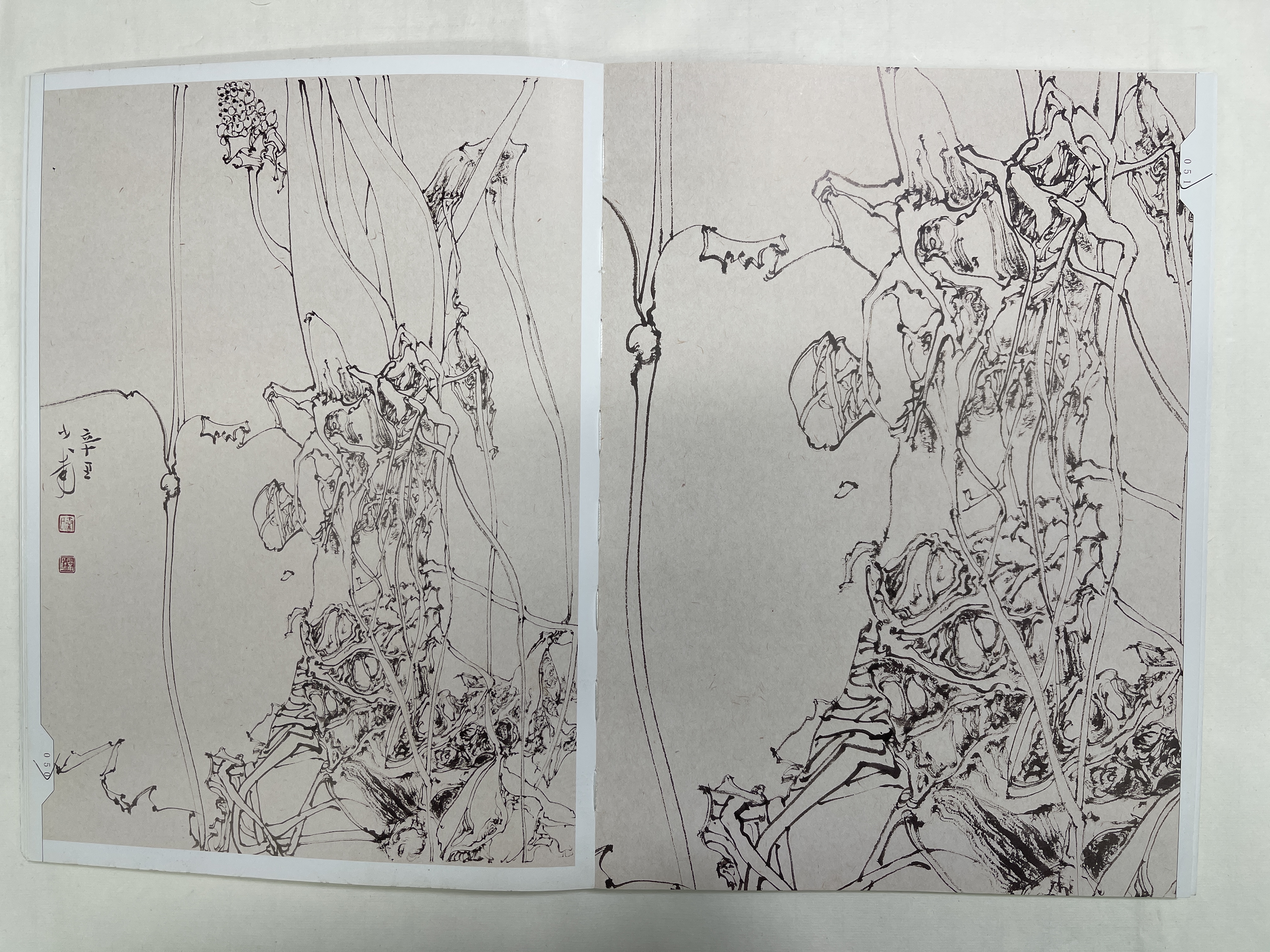 秦少甫国展线描写生网课 （含写生集）