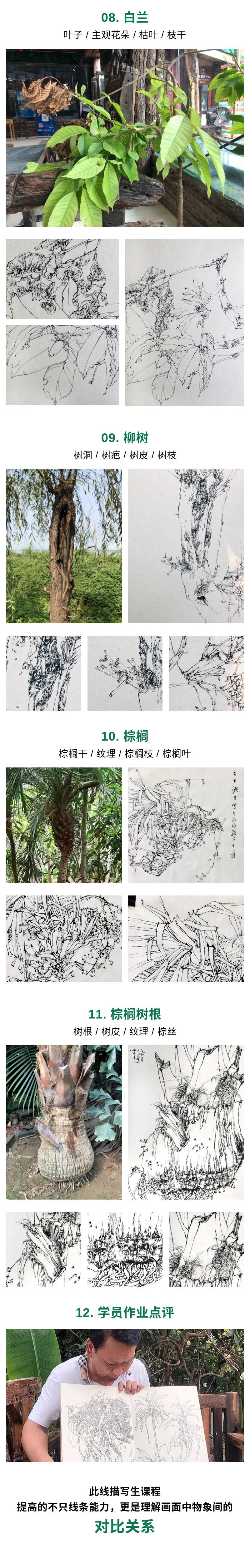 秦少甫国展线描写生网课 （含写生集）