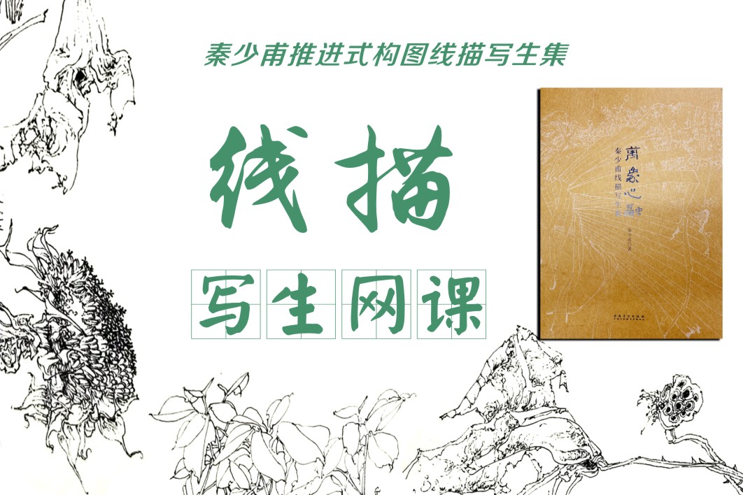 秦少甫国展线描写生网课 （含写生集）