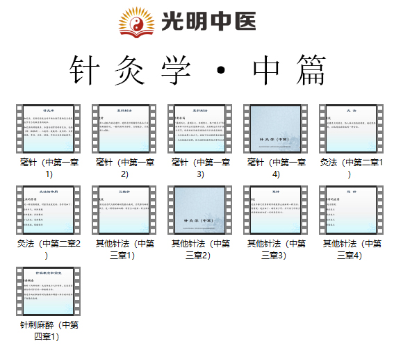 光明中医版教材《针灸学》视频讲座全集