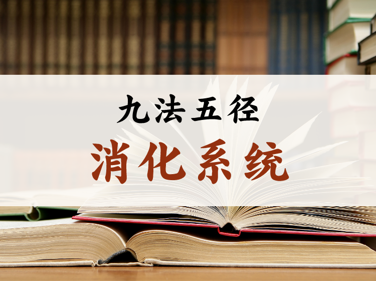 九法五径 · 消化系统