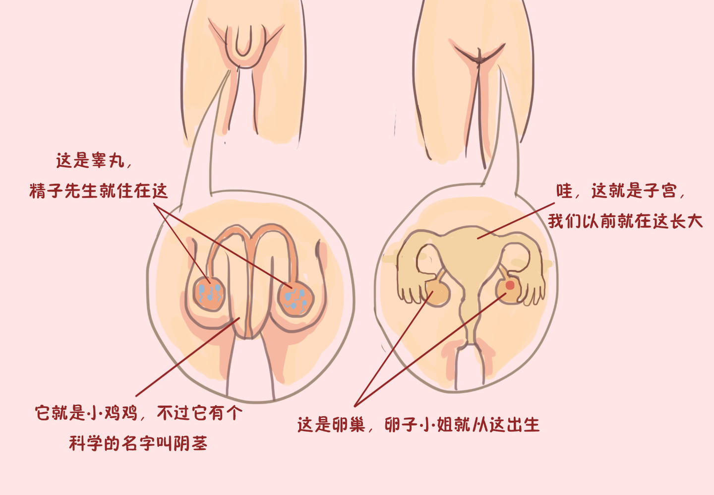 如何进行科学系统的家庭性教育