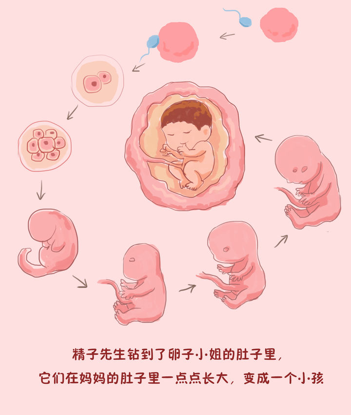 如何进行科学系统的家庭性教育