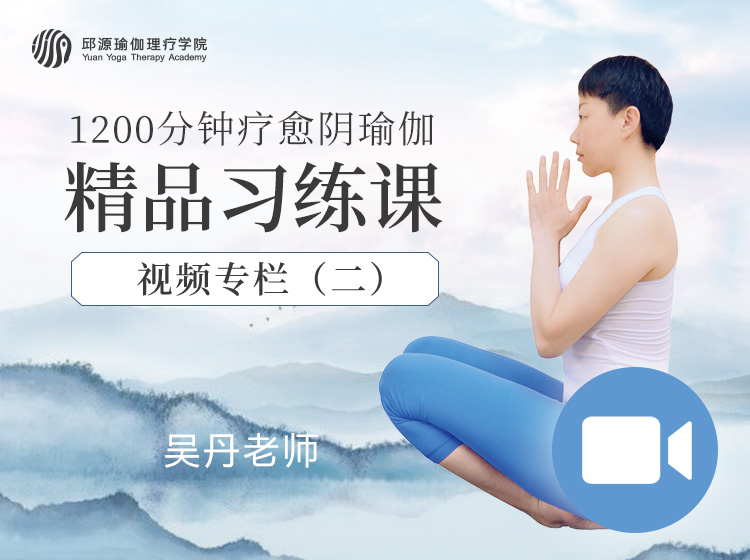 20小时疗愈阴瑜伽理疗师精品课